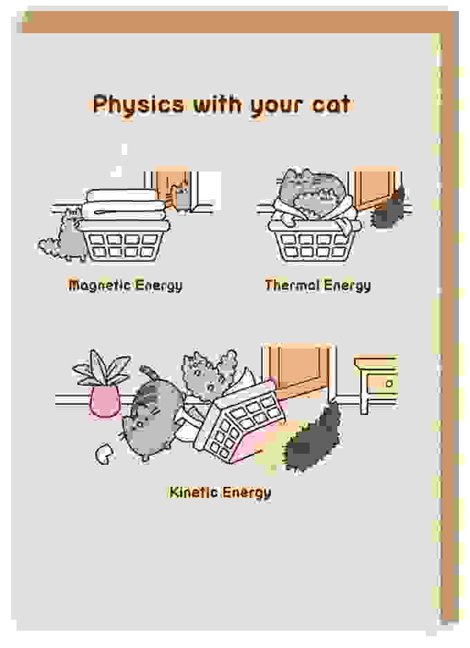 Physics With Your Cat Pusheen Grußkarte