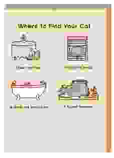 Where To Find Your Cat Pusheen Grußkarte