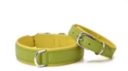 Halsband Amici Lemon