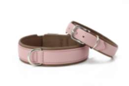 Halsband Amici Rose