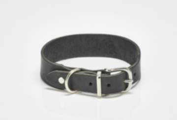 Halsband Giro Black