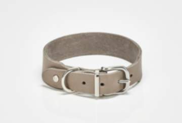 Halsband Giro Grey