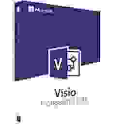 MS Visio 2019 Professional Retail ESD